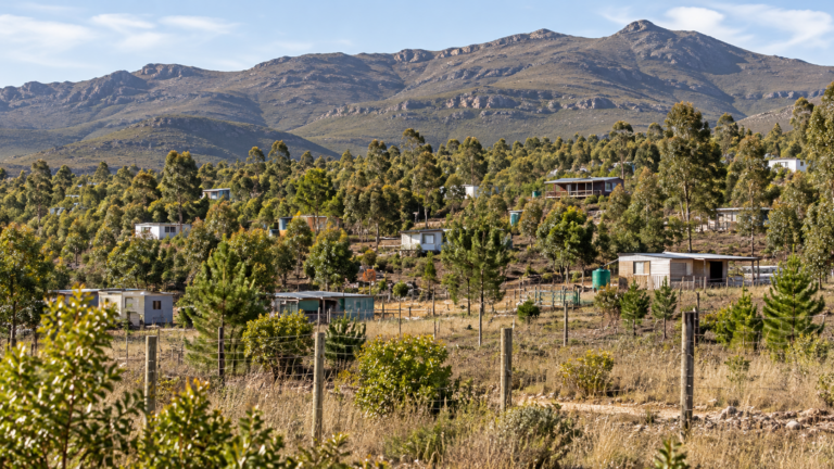 Illustration of homes and wooded plots beneath Western Cape mountains for the Knoflokskraal court order report