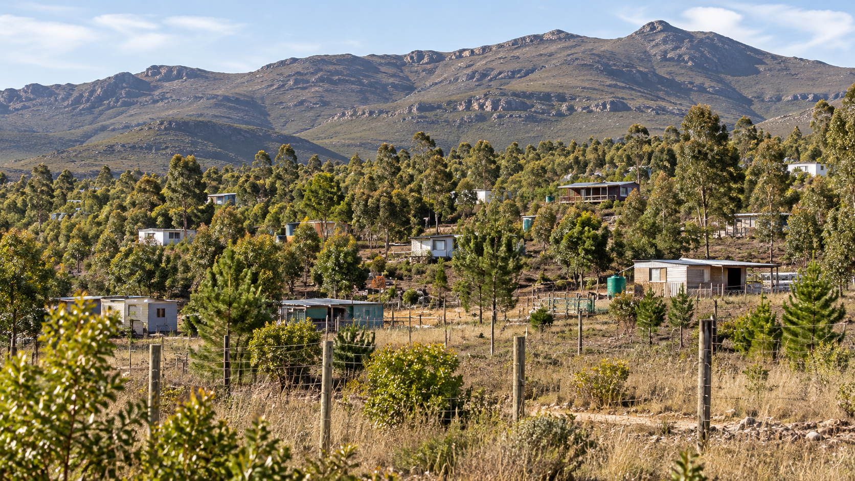 Illustration of homes and wooded plots beneath Western Cape mountains for the Knoflokskraal court order report